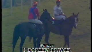 1985 Arkle Trophy Boreen Prince Includes Replay [upl. by Ynagoham]