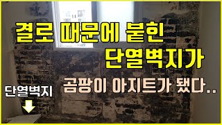 단열벽지 셀프시공 후에 나도 모르는 곰팡이가이보드로 다시 셀프시공 [upl. by Beeck]