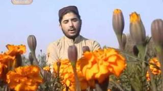 Masido Minbaro lobe kawe Pashto Naat by Hafiz Sohail Ahmad Vol 21 [upl. by Avehs50]