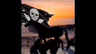 Low quality pirate ship meme [upl. by Summer]