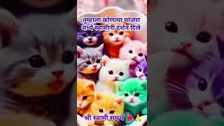 श्री स्वामी समर्थ 🙏🙌🙇🌺subscribe [upl. by Anay]