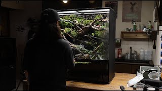 90cm vivarium for Day geckos  데이게코를 위한 90cm 비바리움 만들기 [upl. by Herv]