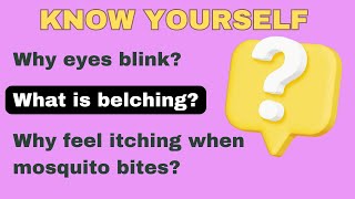 Why eyes blink What is belchingWhy feel itching when mosquito bites [upl. by Redla989]