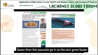 Dr Ghonimy  Bile acids applications in salmon liver health [upl. by Aicirt]