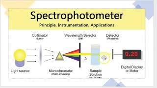 spectrophotometer working principle [upl. by Artema]