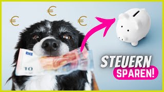 Steuererklärung mit Hund  Diese Dinge kannst du absetzen [upl. by Oderf894]