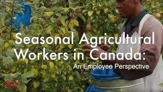 Seasonal Agricultural Workers in Canada  An Employee Perspective [upl. by Belcher472]