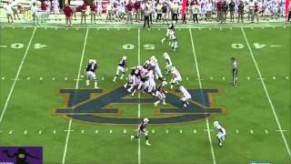 Jeremy Johnson vs Arkansas 2014 [upl. by Los373]