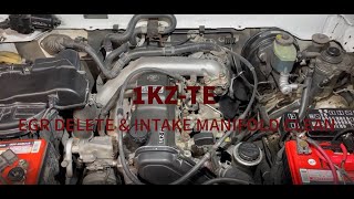 1KZTE EGR DELETE  TOYOTA PRADO HILUX SURF 4RUNNER HIACE [upl. by Kisung936]