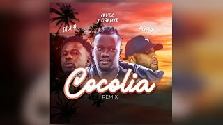 Booba ft Level l’oseille ft Didi b COCOLIA  a la fin Remix [upl. by Joly451]