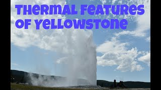 Geysers and Other Thermal Features of Yellowstone [upl. by Htinek589]