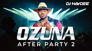 Ozuna Mejores Canciones Mix 2021  2017  Tiempo Despeinada Taki Taki  After Party 2  Dj Naydee [upl. by Anaiq]