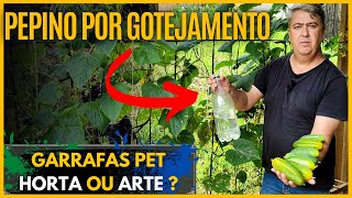 HORTA VERTICAL DE PEPINO IRRIGADA POR GOTEJAMENTO EM GARRAFAS PET [upl. by Akinod]