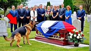 Le Chien Aboie Furieusement Devant le Cercueil de son Maître Quand Ils lOuvrent la Foule Crie [upl. by Aneehsar264]