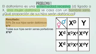 PROBLEMAS DE HERENCIA LIGADA AL SEXO [upl. by Ylrak]