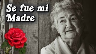 Neftalí y José  Se fue mi madre Letra [upl. by Dnaleel846]