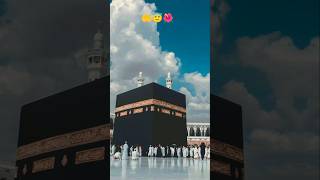 Allah 🤲😇🌺 Allah shorts 359 [upl. by Early310]