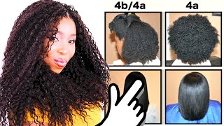 Natural Hair Types EXPLAINED In Detail w PICTURES 4C 4B amp 4A HAIR CHART [upl. by Holtz]