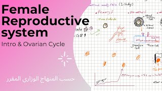 Intro amp Ovarian Cycle صيدلة مرحلة ثانية …part 1 [upl. by Edlin]