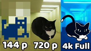 Maxwell Cat 144p vs 720p vs 4k Full [upl. by Jonme364]