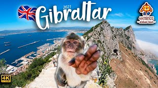 🇬🇧🐒 Gibraltar The Great Tour 4K Ultra HD Walking Virtual Tour UK 2021 [upl. by Guevara]