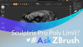 AskZBrush “How can I increase the poly limit for Sculptris Pro” [upl. by Gnohp]