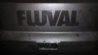 Fluval 407 MAINTENANCE Step by step 107 207 and 307 are SIMILAR [upl. by Annovahs]