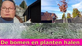 De bomen en planten halen bij het andere huis [upl. by Kiki]