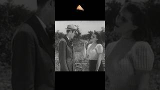 Highway Hell 1941 PizzaFLIX🍕TEASER2 [upl. by Esidnak]