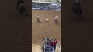 Team Roping Clean Runrodeo horse cowboys teamroping shorts [upl. by Leunammi]