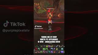 I am taming one of every hunter pet appearance Smouldering Raven [upl. by Eirellav]