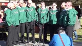 Swiss Yodel Choir Matterhorn  Altes Kueherlied Old Herdsmen’s Song [upl. by Llib]