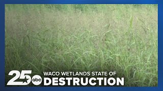 Lake Waco Wetlands in state of destruction as the area celebrates its 20th anniversary [upl. by Allx]