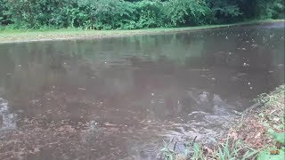 I Found A Drain And Drained A Flooded Street During A Storm [upl. by Penland139]