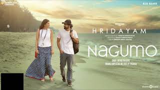 NAGUMO Song pranav mohanlalhridhyam songdrshana [upl. by Rinaldo]