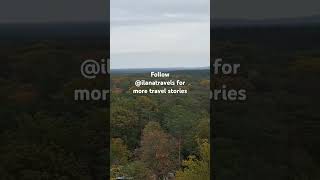 Beautiful autumn views from the top of the trees in Beelitz autumncolors herbst visitgermany [upl. by Ecirtemed]