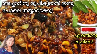 ഇതൊരല്പം മതി എന്തൊരു രുചിയാpickle recipeGarlic recipesGarlic pickle [upl. by Aevin]