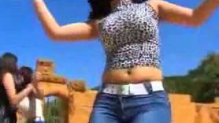 Raqsi arab Arabic Dance Plan B 2010 shazi raqs رقص جديد [upl. by Airreis]