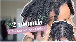 2 Month Thick Starter Locs [upl. by Ereveneug]