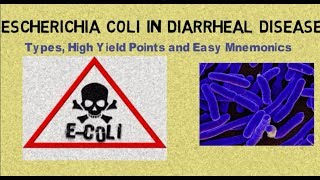 Escherichia coli E coli in Diarrheal Disease Types High Yield Points amp Mnemonics [upl. by Annerb539]