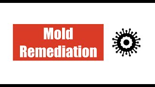 Mold Remediation [upl. by Teews967]