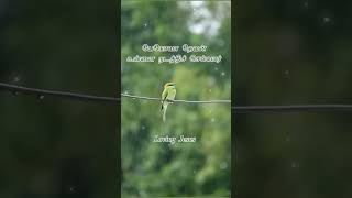 Ethai nenaithum nee kalangathe jesus christianfaith love tamilchristiansongs shorts trending [upl. by Laehcimaj]