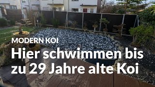 Jürgens sehr alter und mit PEBällen abgedeckter 22000 Liter Koiteich  Modern Koi Blog 6521 [upl. by Fritzsche]