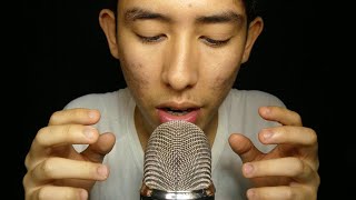 Expert ASMR Mouth Sounds At 999999 Sensitivity [upl. by Alisun]