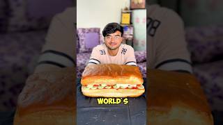 I Made The Biggest Sandwich [upl. by Afital]