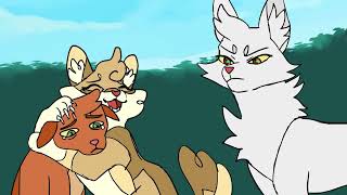 Funny Warrior Cats Memes Compilation 2 [upl. by Ylas]