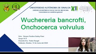 32 Wuchereria bancrofti y Onchocerca volvulus [upl. by Alil]