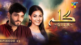 Gila Episode 23  Wahaj Ali  Anzela Abbasi  Best Pakistani Serial  HUM TV [upl. by Ennayrb]