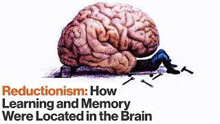 How Reductionism Uncovered Secrets of Longterm and Shortterm Memory  Eric Kandel  Big Think [upl. by Pruter]