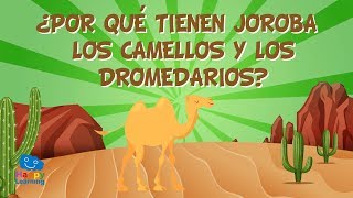 ¿POR QUÉ TIENEN JOROBA LOS CAMELLOS Y LOS DROMEDARIOS  CURIOSIDADES FASCINANTES PARA NIÑOS [upl. by Nyleak]